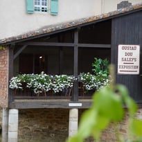 Exposition d'art à l'Oustàu Dou Saleys