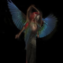 Exposition de photographies de Sandie Louit