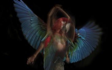 Exposition de photographies de Sandie Louit