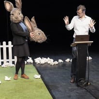 Le problème lapin - Théâtre Beheria