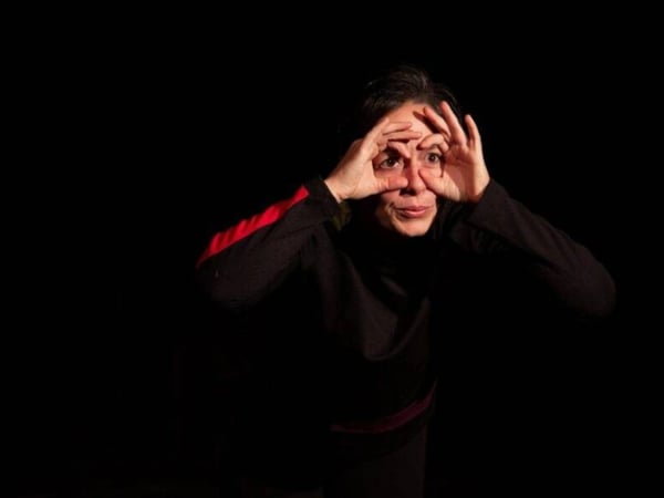Spectacle : Moi je ne suis pas un éléphant