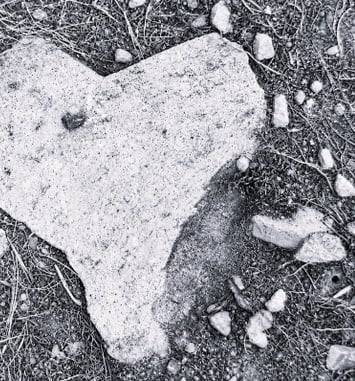 Exposition photographique « Les chemins du silence »
