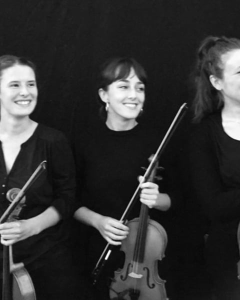 Animalia, concert du trio Habia