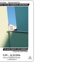 Exposition "Ce que disent les ombres", Itzalek diotena