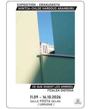 Exposition "Ce que disent les ombres", Itzalek diotena
