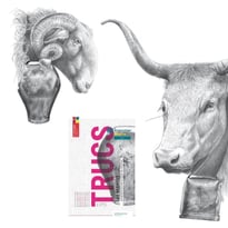 Exposition : Trucs - une expression sensible au delà des montagnes