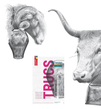 Exposition : Trucs - une expression sensible au delà des montagnes