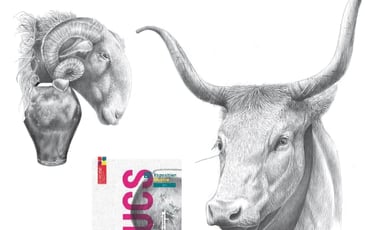 Exposition : Trucs - une expression sensible au delà des montagnes