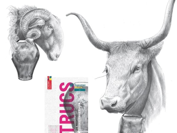 Exposition : Trucs - une expression sensible au delà des montagnes