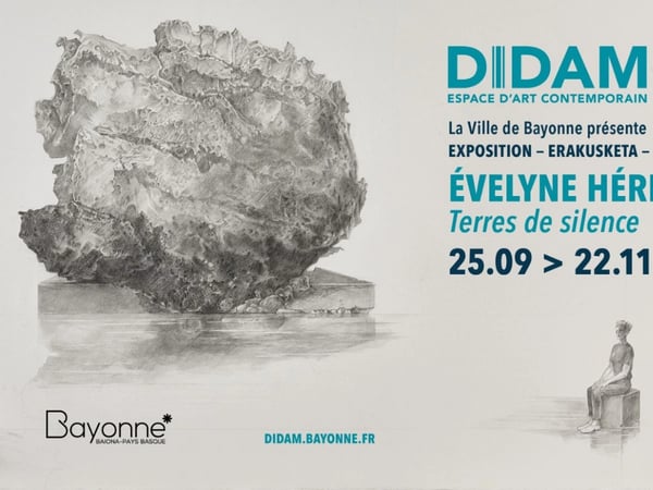 Exposition au DIDAM : Évelyne Hérisson "Terres de silence"