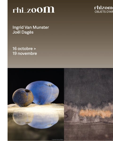 Rhi-ZOOM #2 : exposition Ingrid Van Munster et Joël Dagès