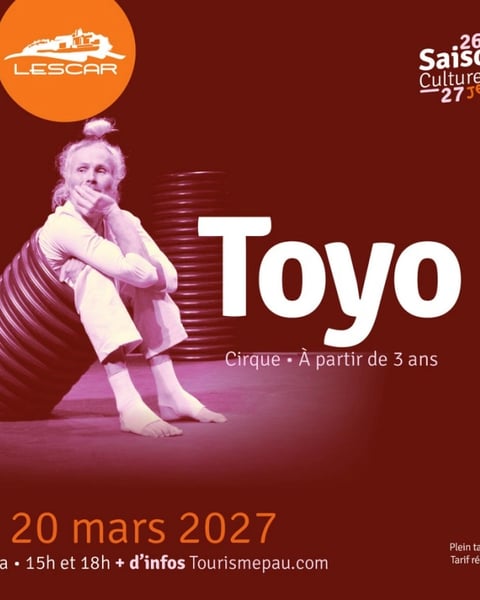 Spectacle de cirque: Toyo