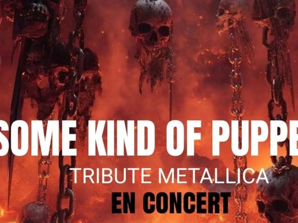 Concert : Skop