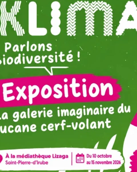 Semaine Klima : Exposition La galerie imaginaire du lucane cerf-volant