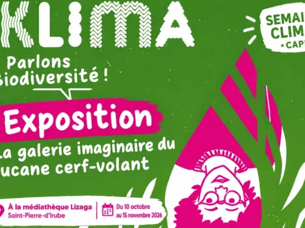 Semaine Klima : Exposition La galerie imaginaire du lucane cerf-volant